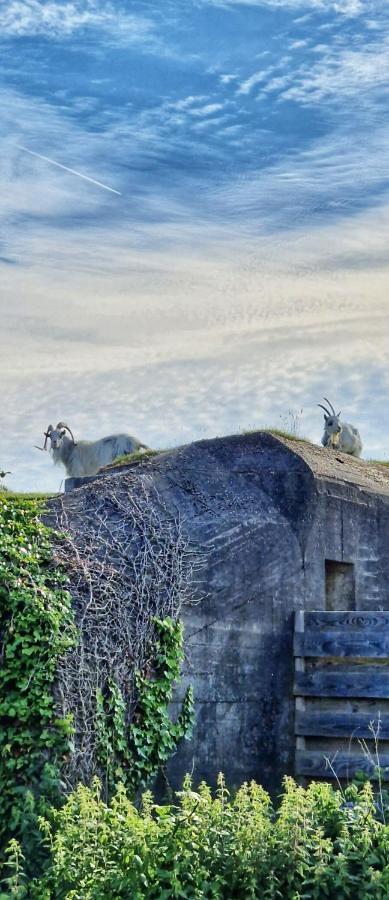 Vakantiehuis De Bunker ยูเลียนาดอร์ป ภายนอก รูปภาพ